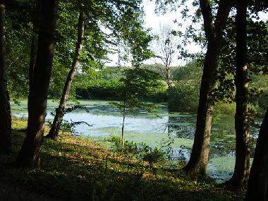 Palace / Castle in Khlungsborn (Mecklenburgische Ostseekste) or holiday homes and vacation rentals