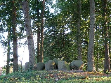 Palace / Castle in Khlungsborn (Mecklenburgische Ostseekste) or holiday homes and vacation rentals