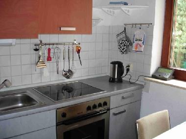 Holiday House in Groenkneten-Huntlosen (Land zwischen Elbe u. Weser) or holiday homes and vacation rentals