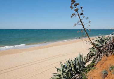 Holiday House in Albufeira (Algarve) or holiday homes and vacation rentals