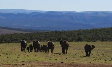 Hotel in Jeffreys Bay (Eastern Cape) or holiday homes and vacation rentals