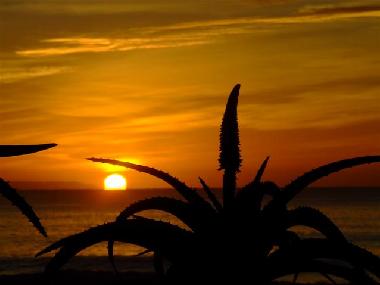 Hotel in Jeffreys Bay (Eastern Cape) or holiday homes and vacation rentals