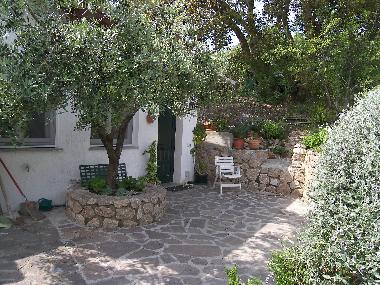Garden outside the dependance