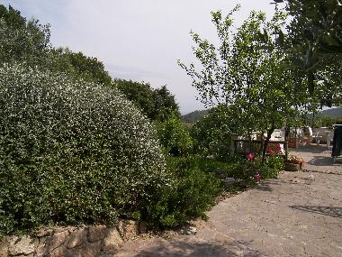 View from the dependance