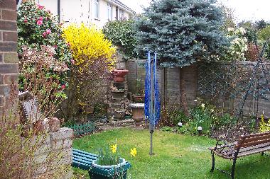 back garden