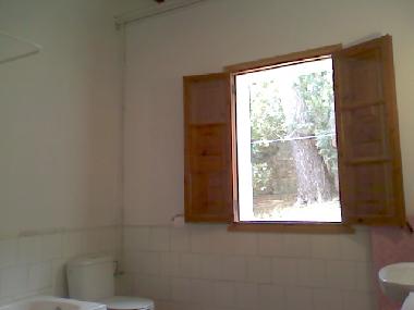 Holiday House in pollensa (Mallorca) or holiday homes and vacation rentals