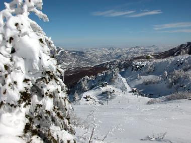 Holiday Apartment in Tavernelle (Massa-Carrara) or holiday homes and vacation rentals