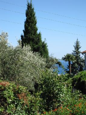 Holiday House in BOISSANO (Savona) or holiday homes and vacation rentals