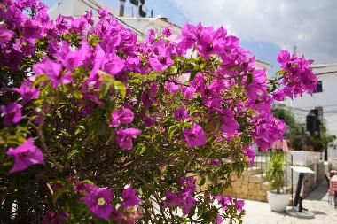 Chalet in La Campaneta (Murcia) or holiday homes and vacation rentals