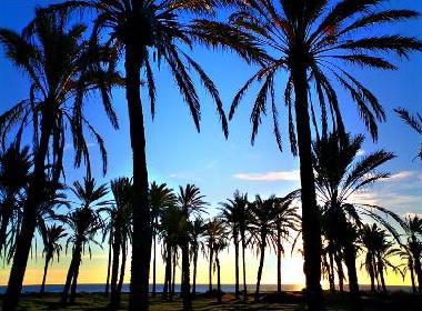 Holiday Apartment in Torrevieja-Punta Prima (Alicante / Alacant) or holiday homes and vacation rentals