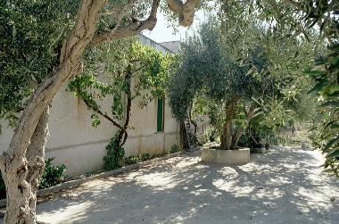 Holiday House in Trapani (Rilievo) (Trapani) or holiday homes and vacation rentals