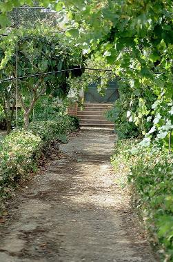 Holiday House in Trapani (Rilievo) (Trapani) or holiday homes and vacation rentals