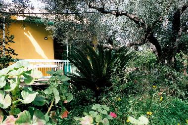 Holiday House in Trapani (Rilievo) (Trapani) or holiday homes and vacation rentals