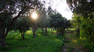 Holiday House in Trapani (Rilievo) (Trapani) or holiday homes and vacation rentals
