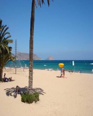 The city beach of Altea - 