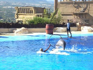 Mundomar - Animalpark with Dolphins in Benidorm (10 km von Altea