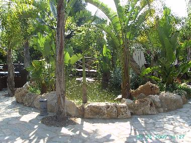 part of Tropical gardens