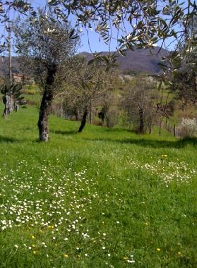Holiday House in Pontremoli (Massa-Carrara) or holiday homes and vacation rentals