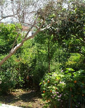 View from sleeping room