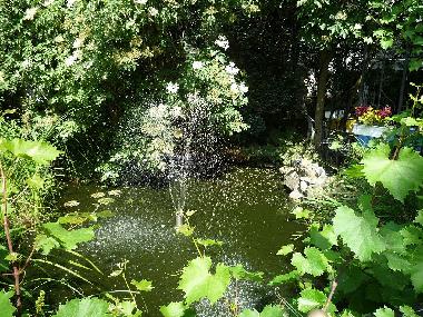 Holiday Apartment in Osterode Harz (Harz) or holiday homes and vacation rentals