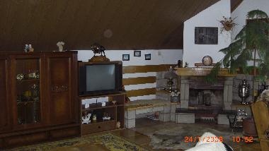 Livingroom with chimney