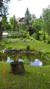 Garden and backside of the house