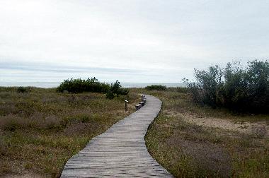 Holiday House in Pavilosta (Lettland) or holiday homes and vacation rentals