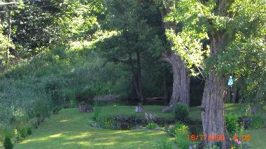 Garden with river and pond