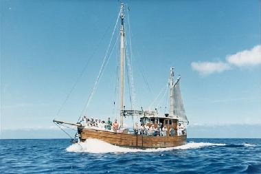 Holiday House in Chayofa (Teneriffa) or holiday homes and vacation rentals