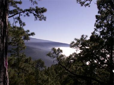 Holiday House in Chayofa (Teneriffa) or holiday homes and vacation rentals