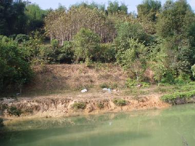 fishing pond