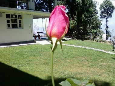 Holiday House in DALHOUSIE (Himachal Pradesh) or holiday homes and vacation rentals