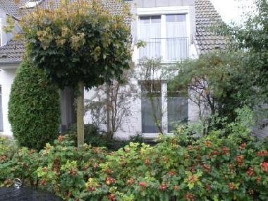 Holiday Apartment in Zingst (Fischland-Dar-Zingst) or holiday homes and vacation rentals