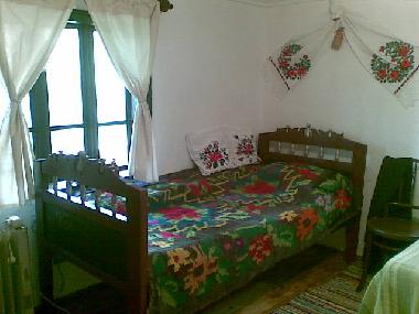 Holiday House in Bisoca (Buzau) or holiday homes and vacation rentals