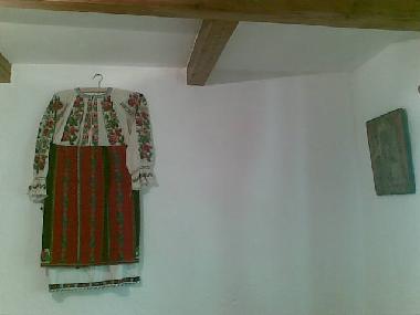 Holiday House in Bisoca (Buzau) or holiday homes and vacation rentals