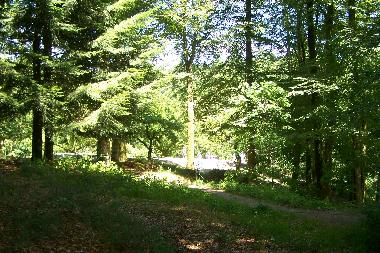 Holiday House in douranenez (Finist�re) or holiday homes and vacation rentals