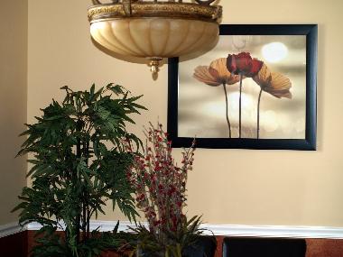 Holiday House in Cape Coral (Florida) or holiday homes and vacation rentals