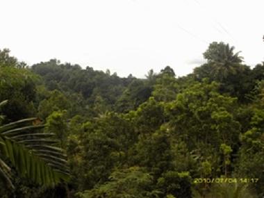 Holiday House in Pilimathalawa (Kandy) or holiday homes and vacation rentals