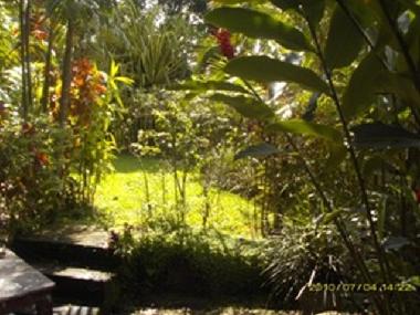 Holiday House in Pilimathalawa (Kandy) or holiday homes and vacation rentals