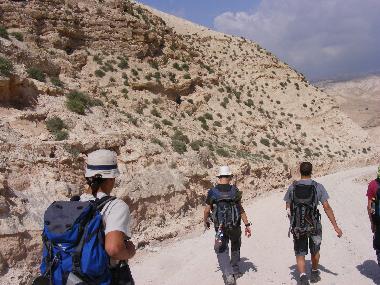 DESERT TREKS