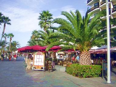 Holiday Apartment in La Longuera (Teneriffa) or holiday homes and vacation rentals