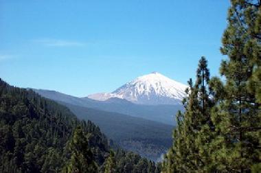 Holiday Apartment in La Longuera (Teneriffa) or holiday homes and vacation rentals