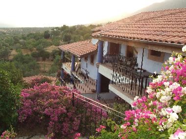 Holiday Apartment in Datca Yakak�y (Mugla) or holiday homes and vacation rentals