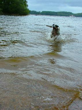 Chalet in Moux en morvan (Nivre) or holiday homes and vacation rentals