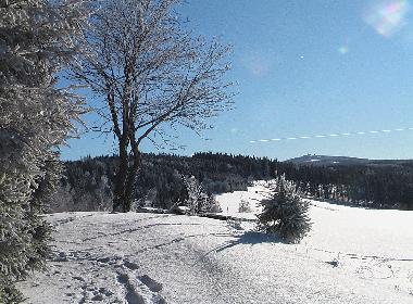 Holiday House in Crottendorf (Erzgebirge) or holiday homes and vacation rentals