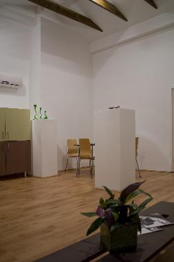 Living Room - Apartment Gallery