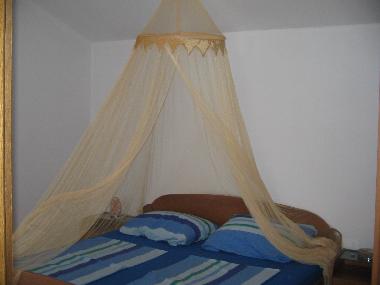 Holiday Apartment in Vir  (Zadarska) or holiday homes and vacation rentals