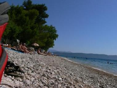 Holiday Apartment in Vir  (Zadarska) or holiday homes and vacation rentals