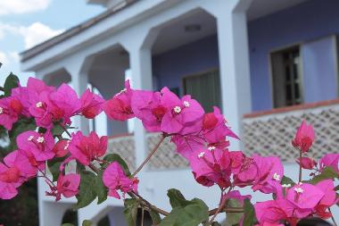 Holiday House in Marina di Lizzano (Lecce) or holiday homes and vacation rentals