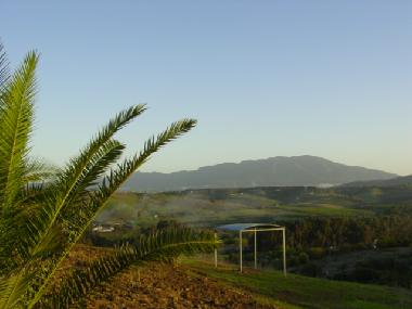 Holiday Apartment in Cartama (M�laga) or holiday homes and vacation rentals